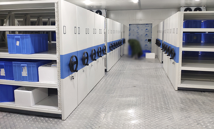 <i>ܼܵărܼôrX</i>