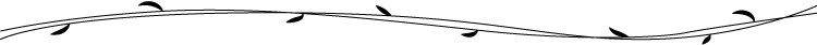 1615441530760729.png 642.png